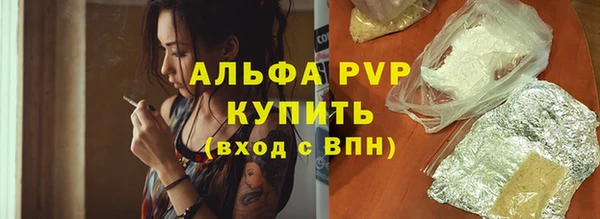 ПСИЛОЦИБИНОВЫЕ ГРИБЫ Волосово