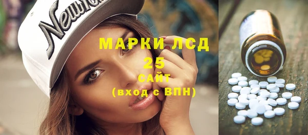ПСИЛОЦИБИНОВЫЕ ГРИБЫ Волосово