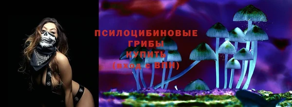 PSILOCYBIN Володарск